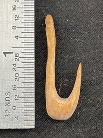 Bone Hook Indian Artifact Arrowhead