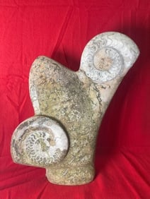 Large Decorative Stone Fossil pay for the item and I will call for additional shipping charges.