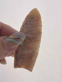 2 & 1/2" Folsom from New Mexico Indian Artifact Arrowhead