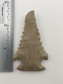 2 & 1/2" Pine Tree Indian Artifact Arrowhead