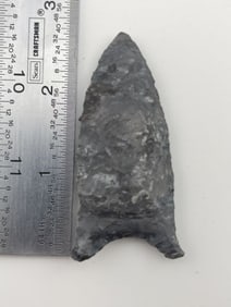2 & 5/8" Quad Dalton from Kansas City Missouri Indian Artifact Arrowhead