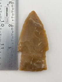 Outstanding Scottsbluff from Central Texas Collection Indian Artifact Arrowhead