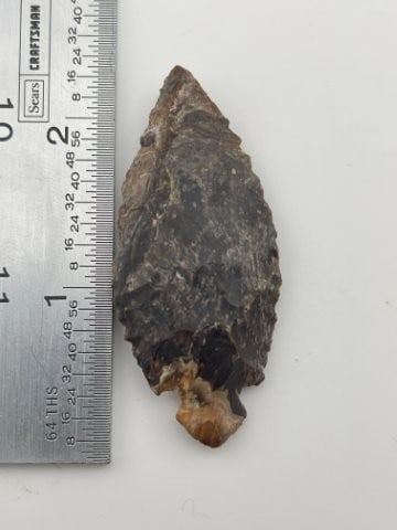 Outstanding Bird Point from Central Texas Collection Indian Artifact Arrowhead (1 of 3)