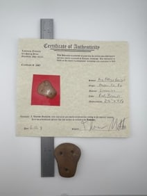 Face Effigy Gorget with Thomas Matthews COA from Mason County, Kentucky Indian Artifact Arrowhead