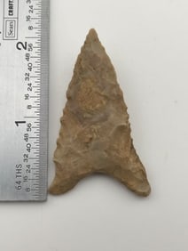 2" Dalton Indian Artifact Arrowhead
