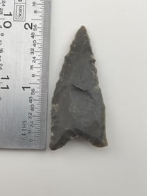 2" Dalton Indian Artifact Arrowhead