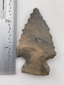 Pine Tree Indian Artifact Arrowhead
