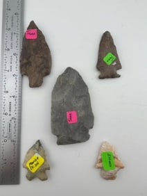 Group of Very Nice Arrow Points