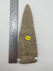 Large Texas Point