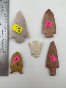 Group of Very Nice Arrow Points