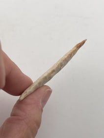 Dalton Indian Artifact Arrowhead