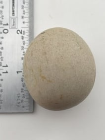 Game Ball Indian Artifact Arrowhead