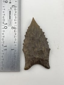 Dalton Indian Artifact Arrowhead