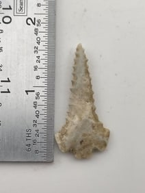 Fox Valley Indian Artifact Arrowhead