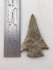 Pine Tree Indian Artifact Arrowhead