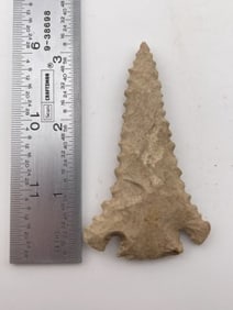 Pine Tree Indian Artifact Arrowhead