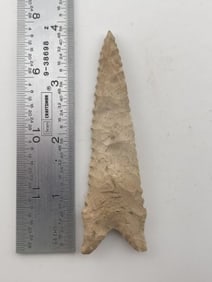 Dalton Indian Artifact Arrowhead