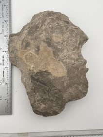 Chipped Face Effigy From Tennessee Indian Artifact Arrowhead