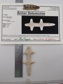 3 & 7/8" Flint Lizard with Jackson COA from Jersey County, Illinois Indian Artifact Arrowhead
