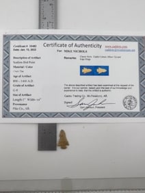 Scallorn Bird Point with Sam Johnson COA Indian Artifact Arrowhead
