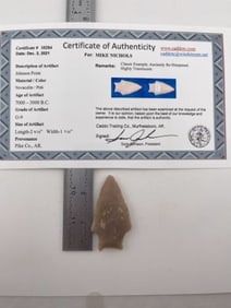 Johnson Point with Sam Johnson COA Indian Artifact Arrowhead