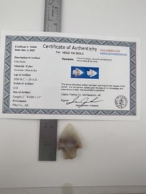 Ellis Point with Sam Johnson COA Indian Artifact Arrowhead