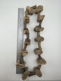Bone Necklace