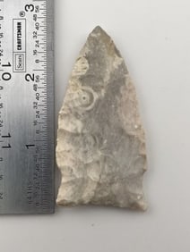 2 & 5/8" Dalton Indian Artifact Arrowhead
