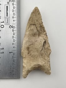 2 & 1/2" Dalton Indian Artifact Arrowhead