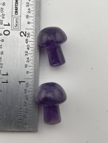 Pair of Ear Spools Indian Artifact Arrowhead