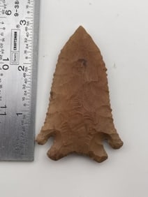 2 & 7/8" Pine Tree Indian Artifact Arrowhead