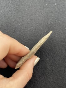 1890 Morgan Silver Dollar Coin