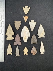 Group of Very Nice Arrow Points