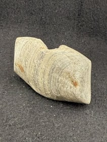 Bannerstone Indian Artifact Arrowhead