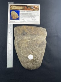 Grooved Axe with Museum Card Indian Artifact Arrowhead