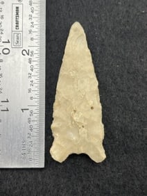 2 & 1/4" Dalton Indian Artifact Arrowhead