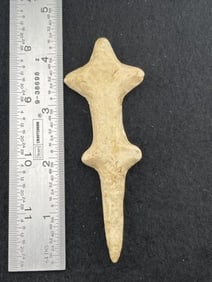 4 & 1/8" Polished Lizard