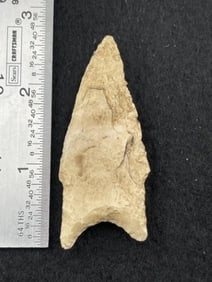 2 & 5/8" Dalton Indian Artifact Arrowhead
