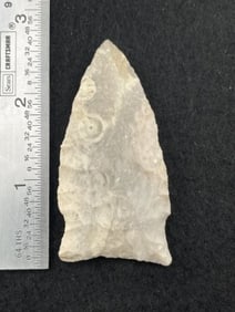 2 & 1/2" Dalton Indian Artifact Arrowhead