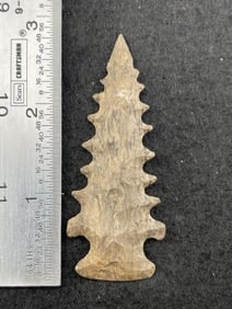 2 & 3/4" Pine Tree heavily serrated Indian Artifact Arrowhead