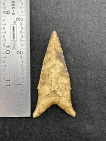2 & 1/2" Dalton Indian Artifact Arrowhead