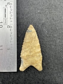 2" Dalton Indian Artifact Arrowhead