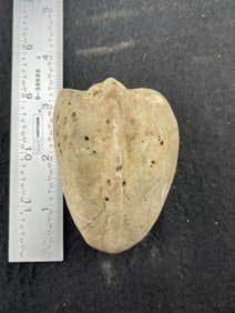 Stone Effigy Indian Artifact Arrowhead