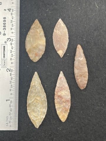 Group of Neolithic Arrow Points Indian Artifact Arrowhead (1 of 2)