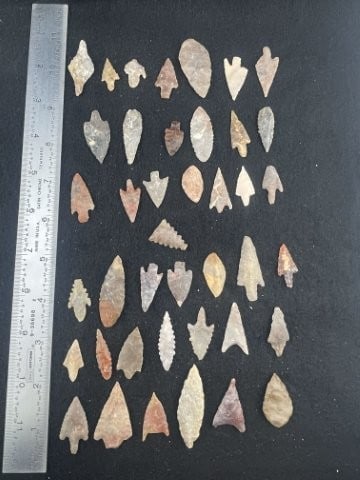 Group of Arrow Points Indian Artifact Arrowhead (1 of 5)