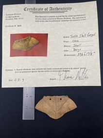 Turtle Shell Gorget with Thomas Matthews COA from Ohio Indian Artifact Arrowhead