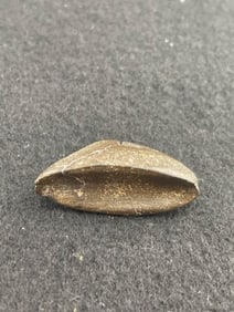 Miniature Boatstone Indian Artifact Arrowhead