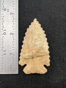 Pine Tree Indian Artifact Arrowhead