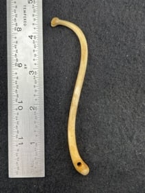 Bone Pendant Indian Artifact Arrowhead