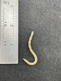 Copper Hook Indian Artifact Arrowhead